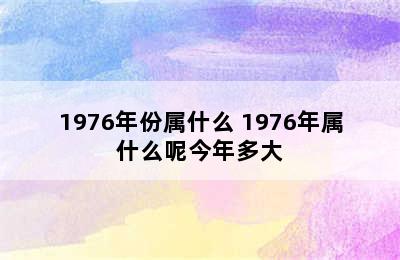 1976年份属什么 1976年属什么呢今年多大